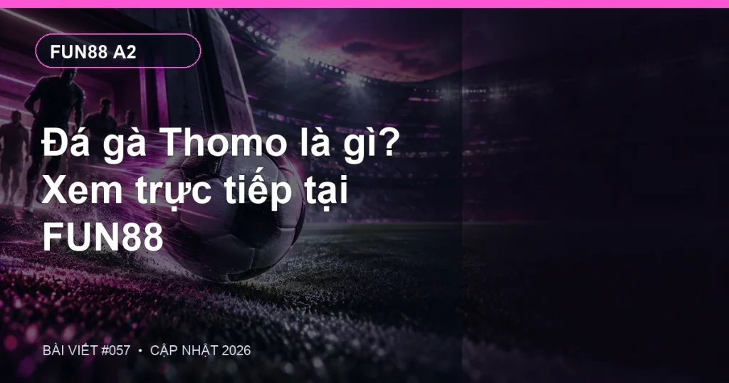 Đá gà Thomo là gì? Xem trực tiếp tại FUN88